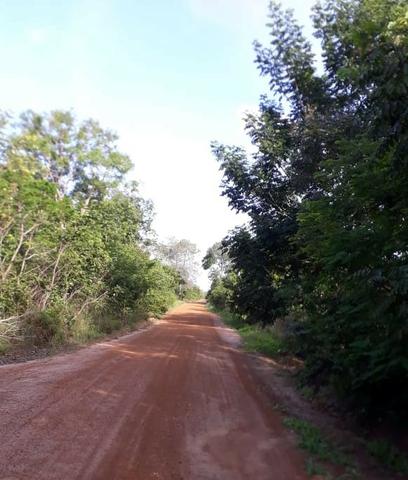 Fazenda com 150 hectares - Região da Soja (Balsas-MA) - Foto 4