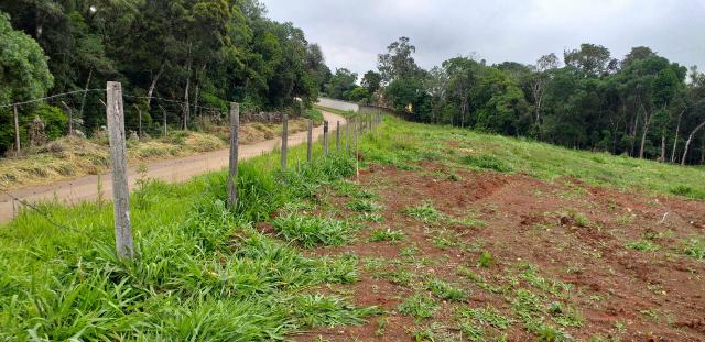 Chácaras e sítios em São José dos Pinhais