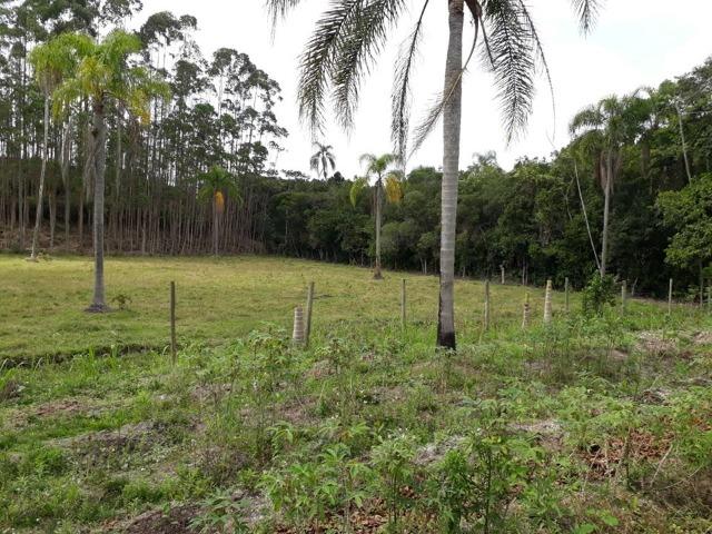 Linda área com 10 hectares a venda em Tijucas SC!!! - Foto 3
