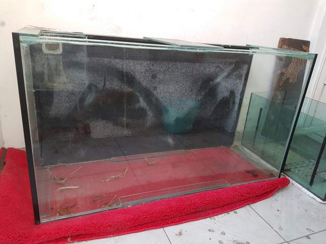 Aquário 420L + Sump 94L