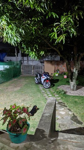 CBR 250R