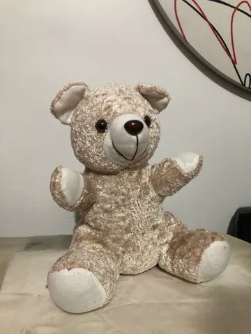 Lote urso - Foto 3