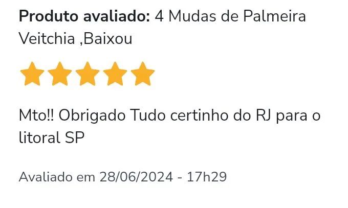 2 MUDA DE  ÍRIS DA PRAIA - Foto 5