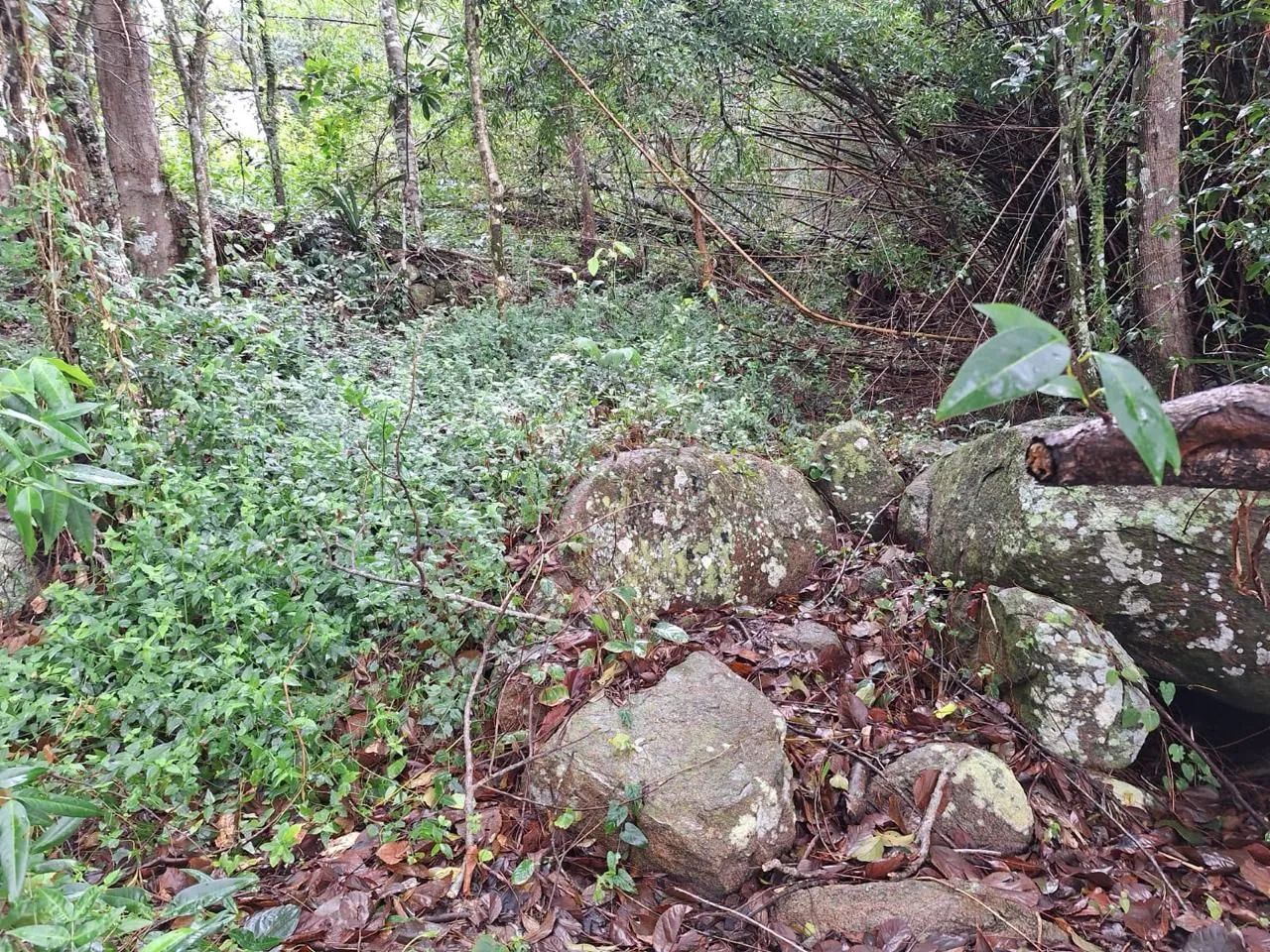 Terreno frente mar com 3643m² à venda em Sambaqui - Florianópolis. - Foto 4