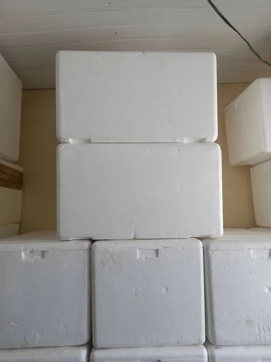 Caixas de Isopor 120 litros 64315291535875122