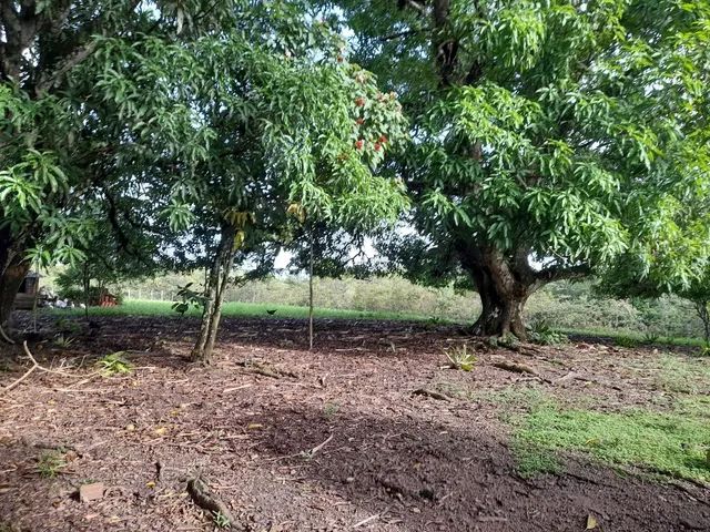 Terreno 23 hectares - Foto 3