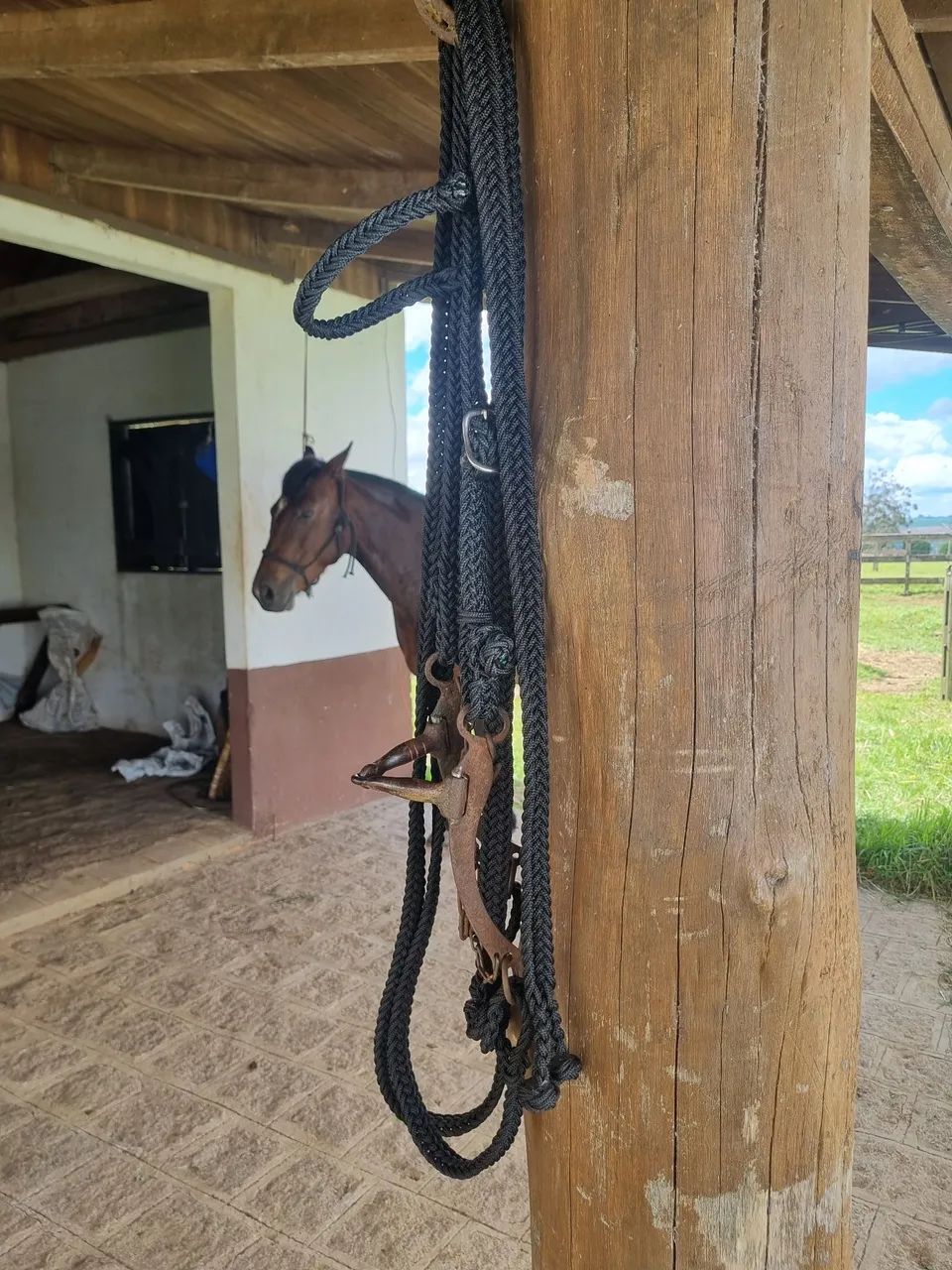 Cabeçada e rédea em corda trançada 