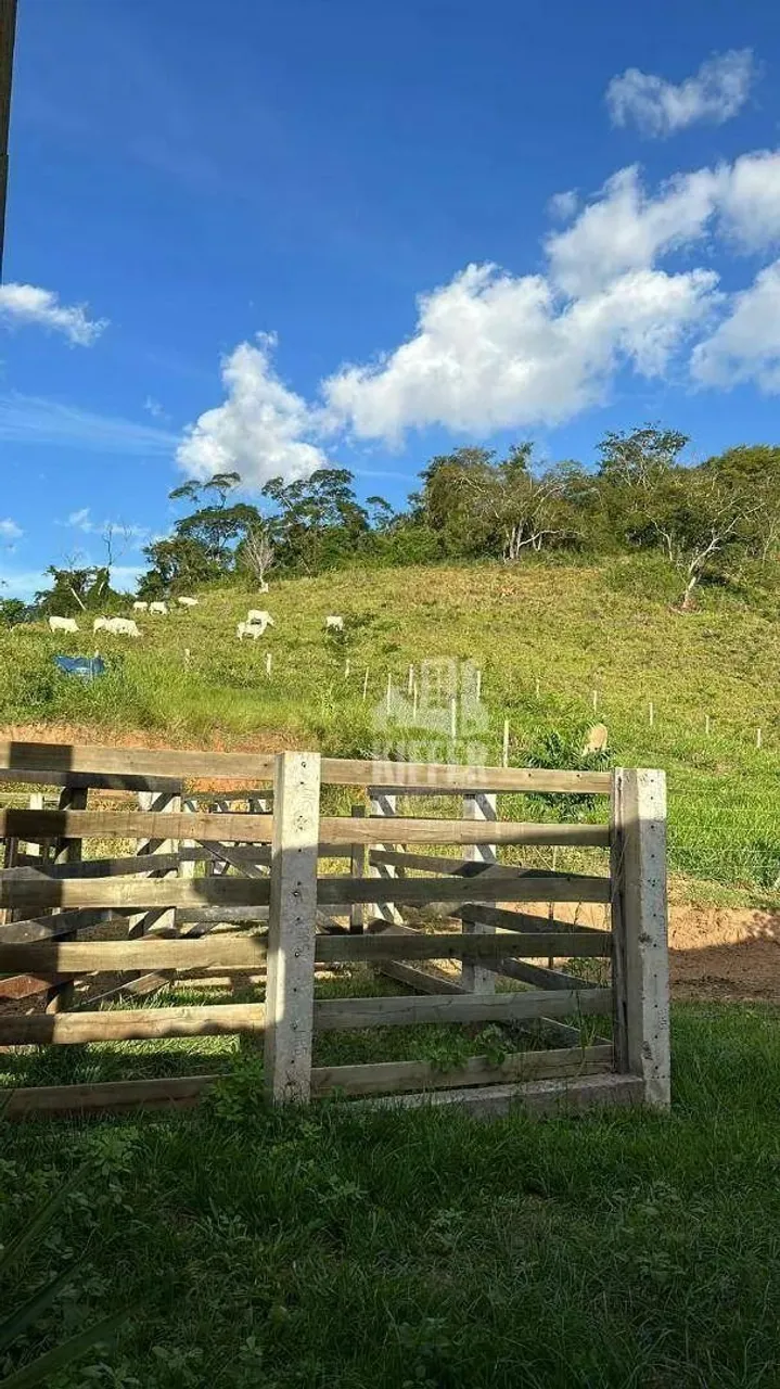 Fazenda com 2 quartos à venda, 543000 m² por R$ 2.200.000 - Zona Rural - São Fidélis/RJ