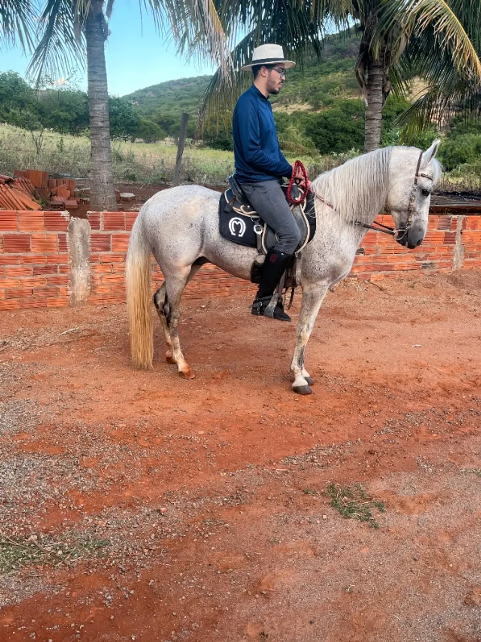 Cavalo Adulto Manga Larga De Marcha Picada