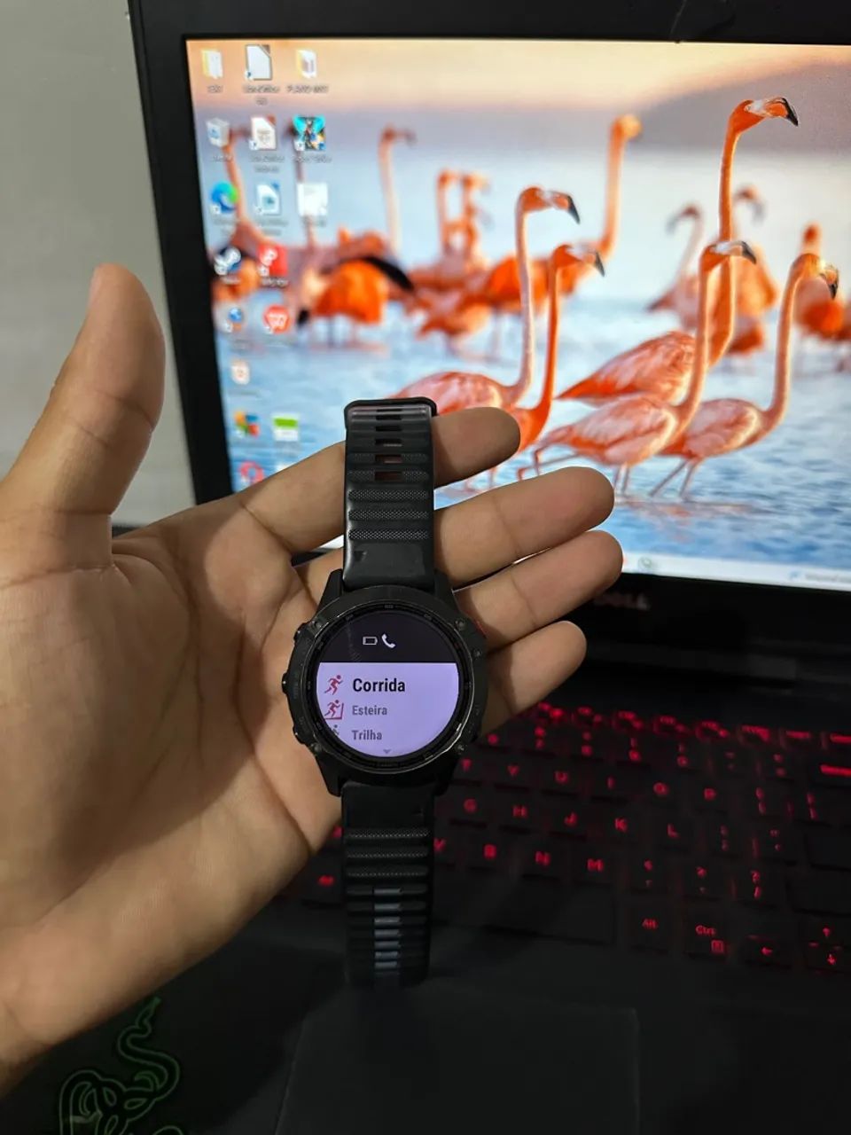 Garmin fênix 6x pro solar