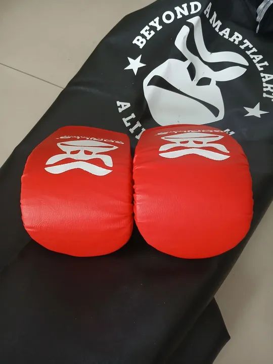 Saco de Pancada + Luva Infantil  - Foto 3