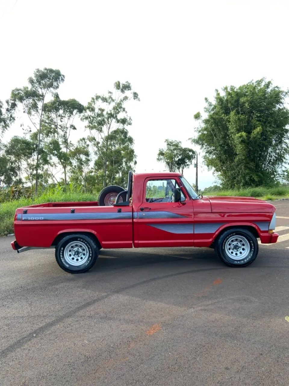 F-1000 1980 - Foto 3