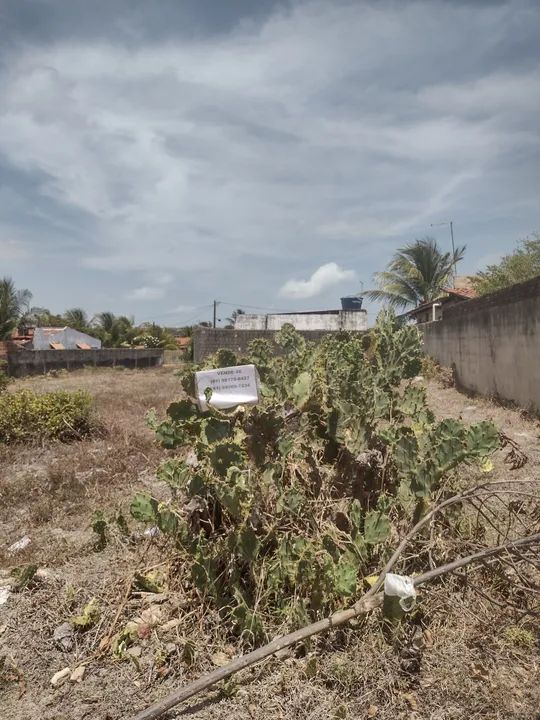 Terreno área plana A partir de 20Mil - Foto 6
