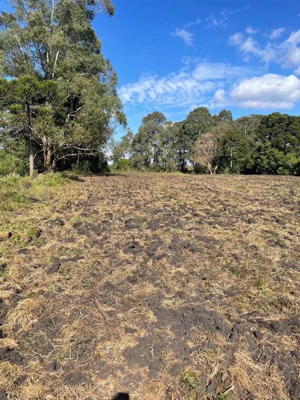 Terreno 10,77 hectares próximo de witmarsum a venda!  - Foto 2
