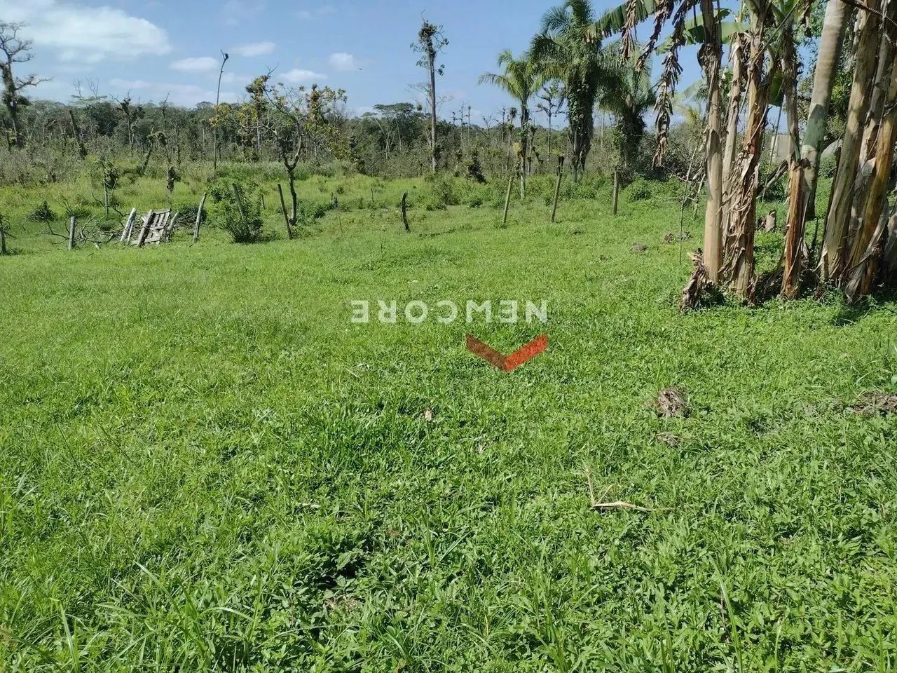 Lote em Estrada do Cajueiro - Antonio Novaes - Peruíbe/SP - Foto 2