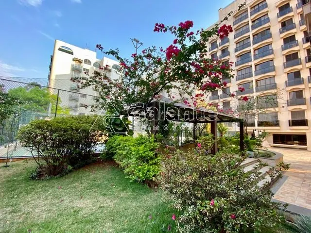 apartamento - Jardim das Paineiras - Campinas