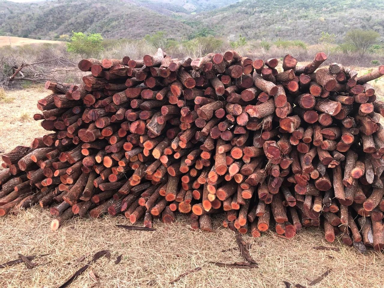 Estacas e mourões - Foto 5