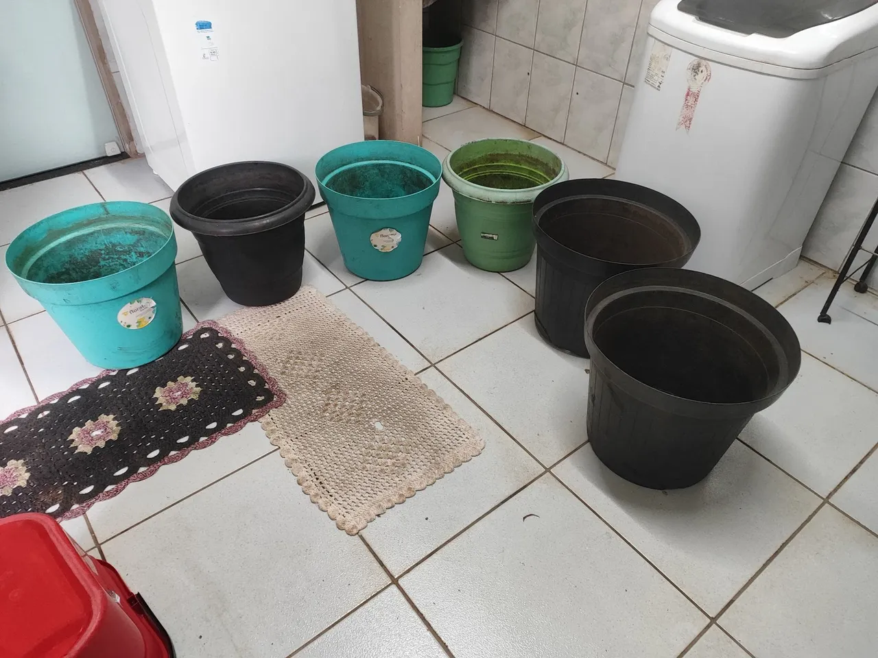 06 Vasos de plantas de diversos tamanhos e cores
