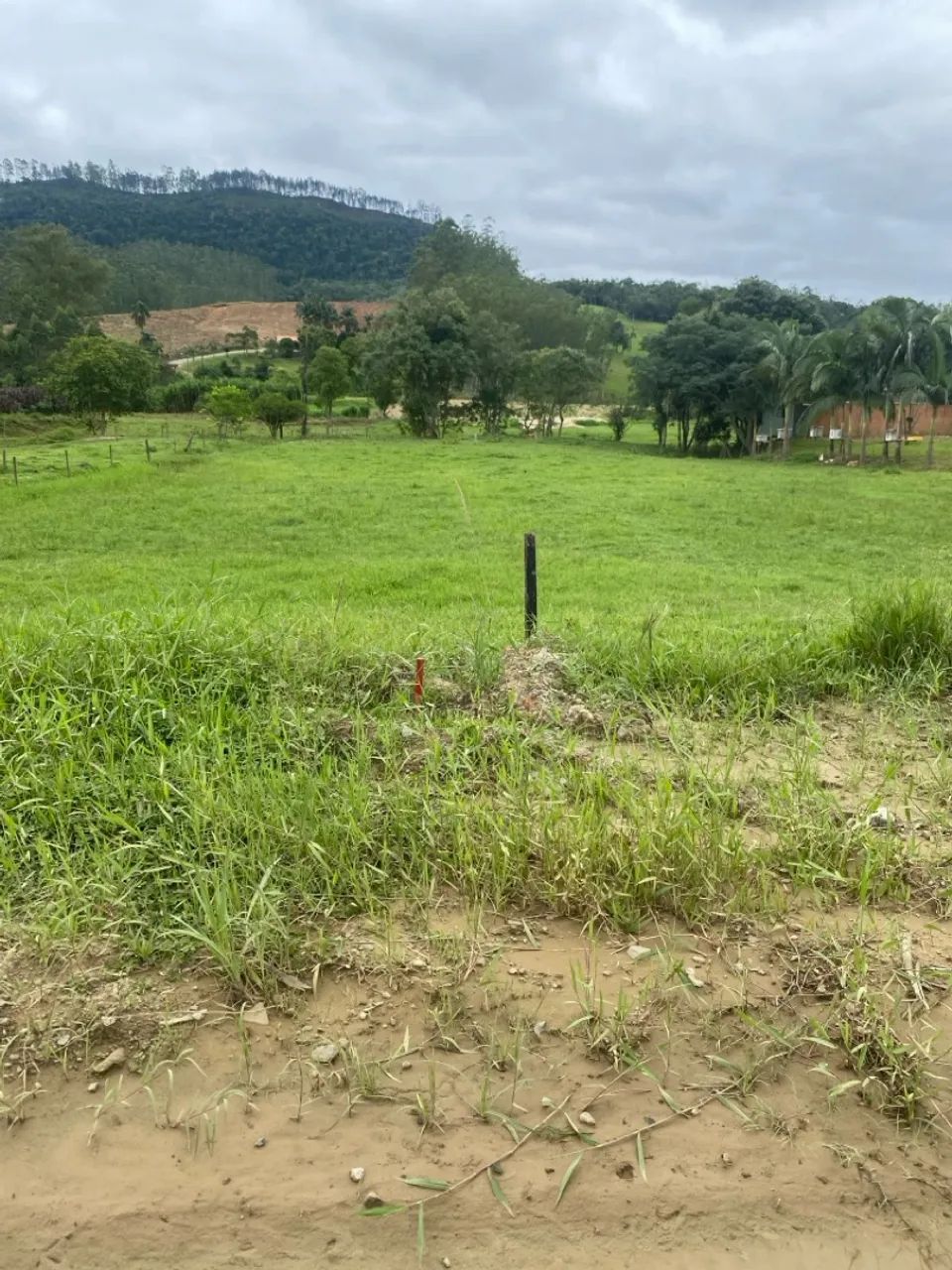 Excelente terreno em Vitor Meireles  - Foto 2