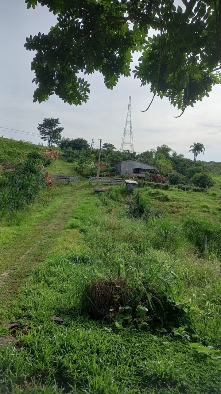 fazenda liberdade 