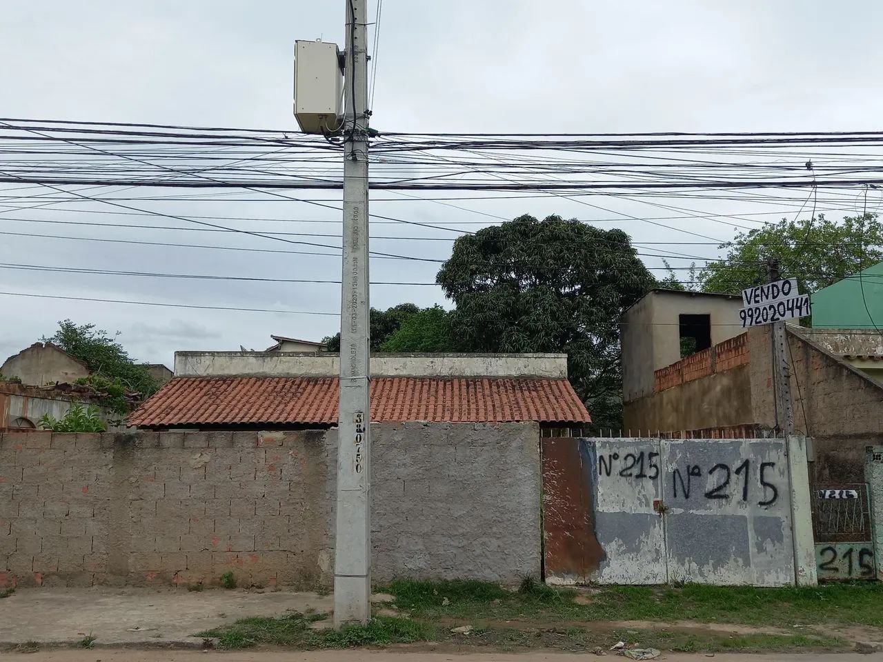 foto - Campos dos Goytacazes - Parque Turf Club