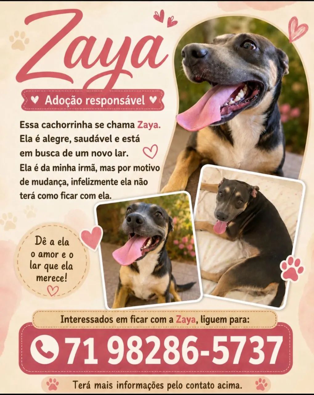 Doação de uma cachorrinha 