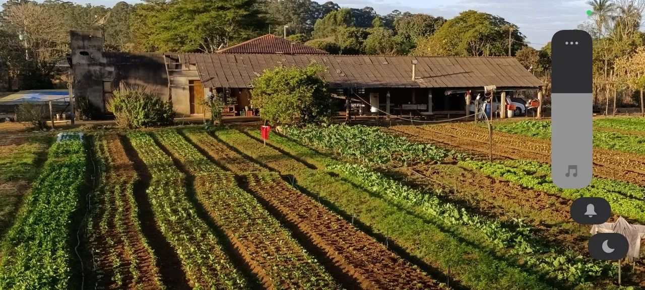 ? CHÁCARA À VENDA - SANTA FÉ | UBERABA/MG - Foto 5