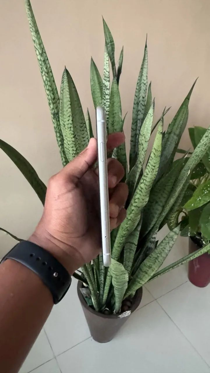 iPhone 11 - Foto 4
