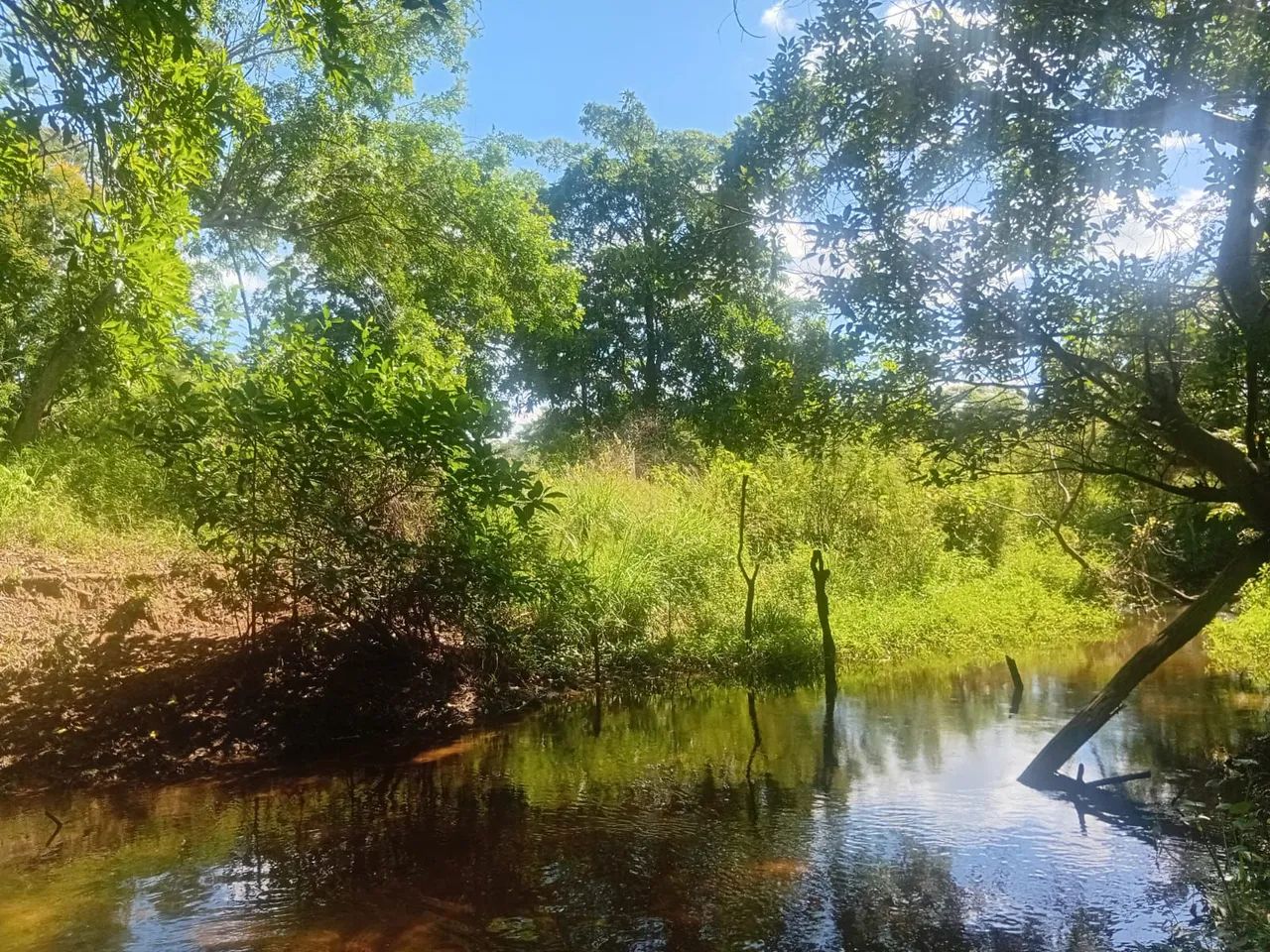 Vende -se Sitio Documentado com Rio,Casa e acesso internet  - Foto 5