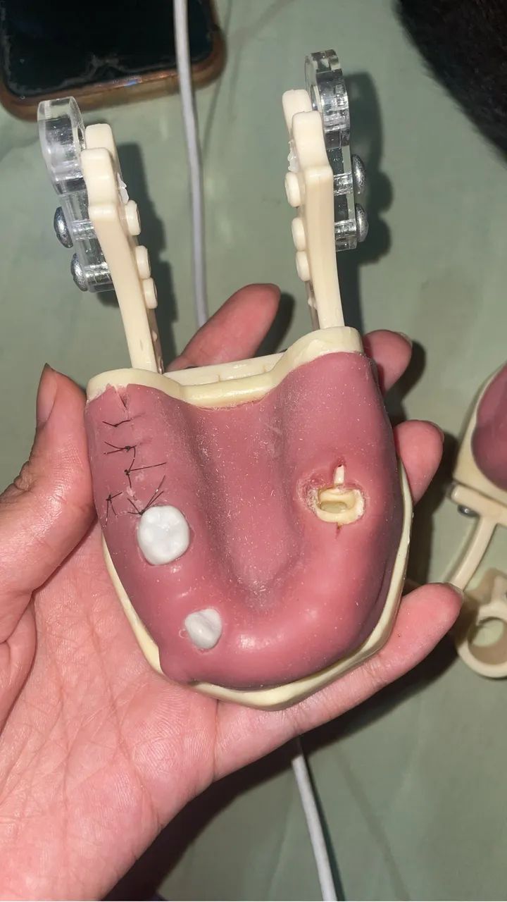 MANEQUIM ODONTOLOGIA  - Foto 2