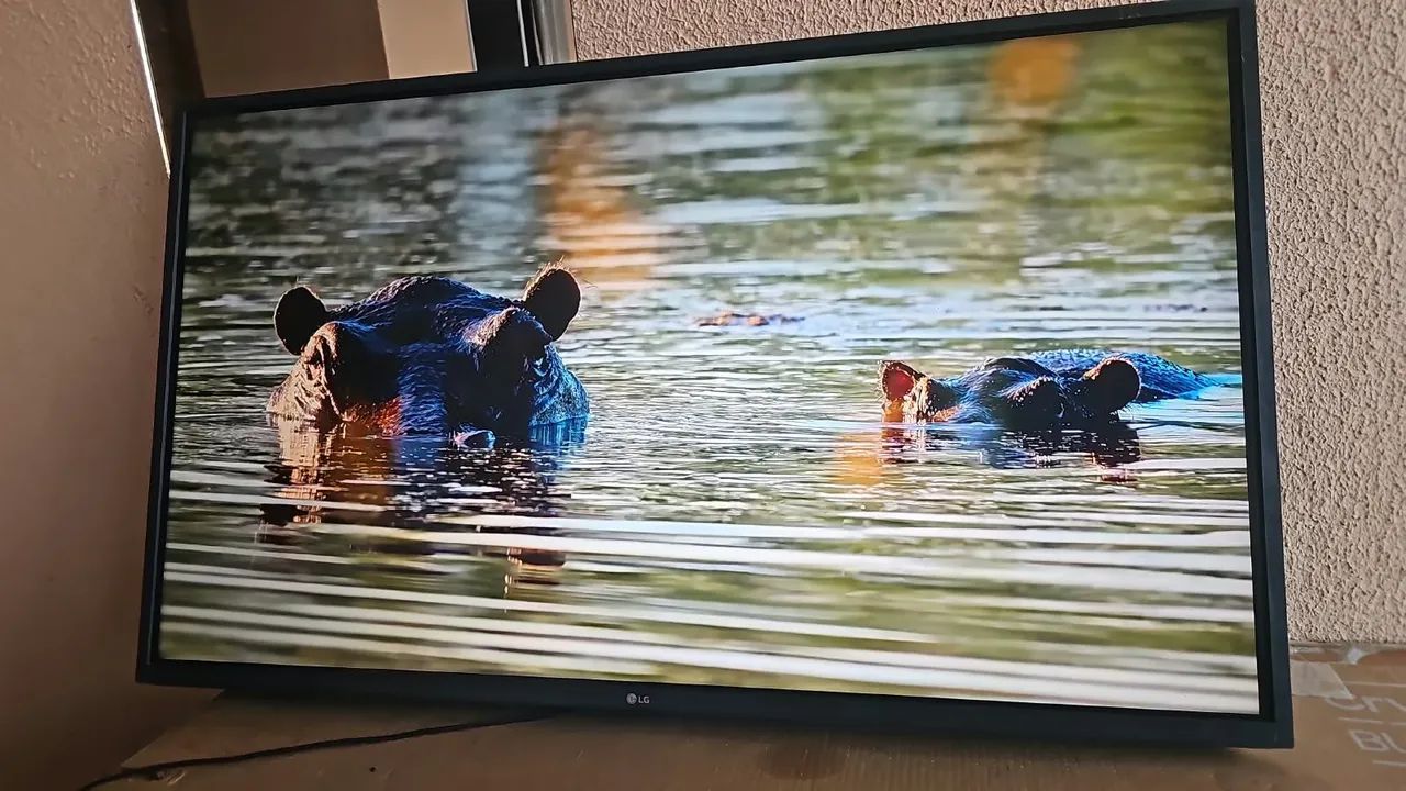 Vendo tv lg 43 polegadas smart wifi