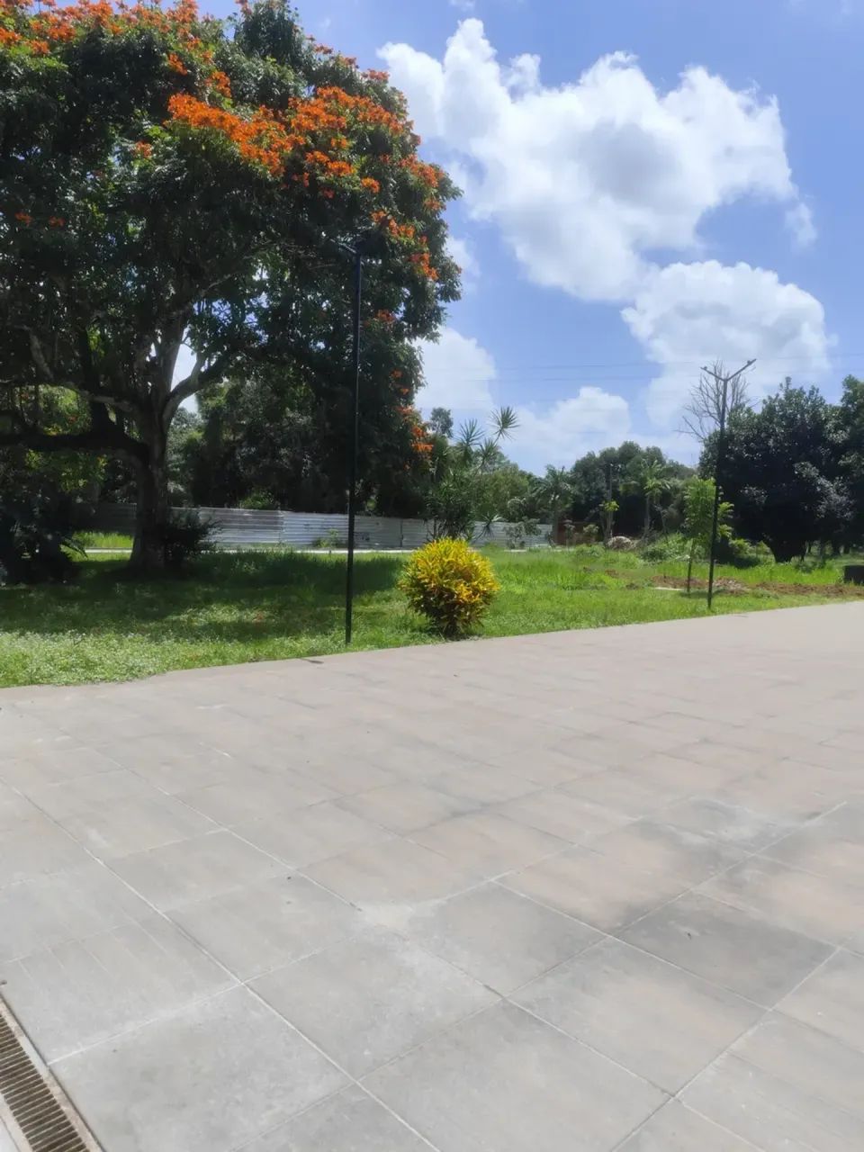 oportunidade . valor é referente ao sinal - Foto 4