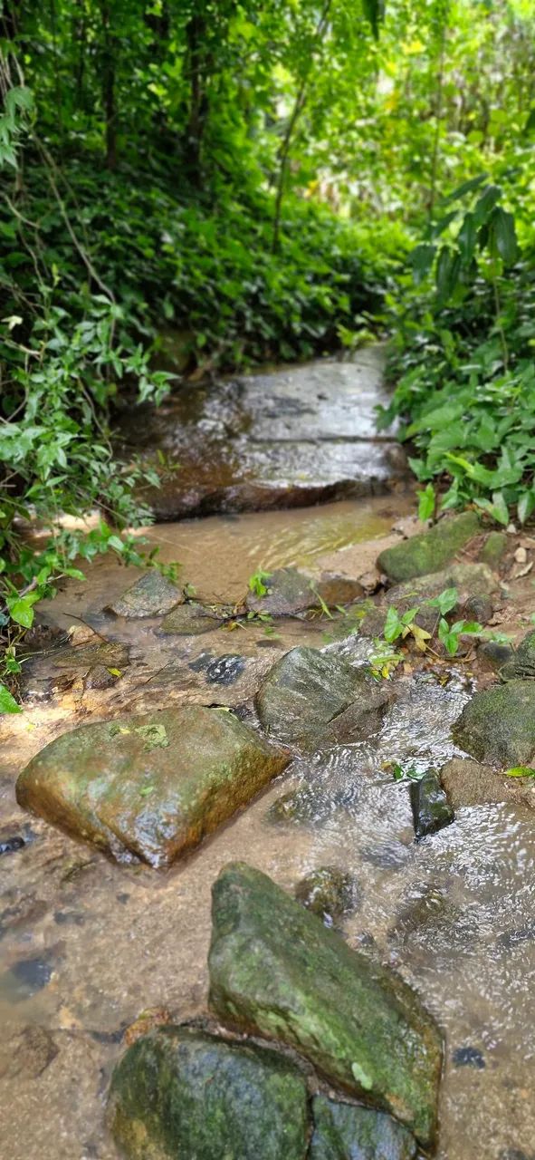 Excelente Sítio à Venda no Rio da Prata de CG! - Foto 3