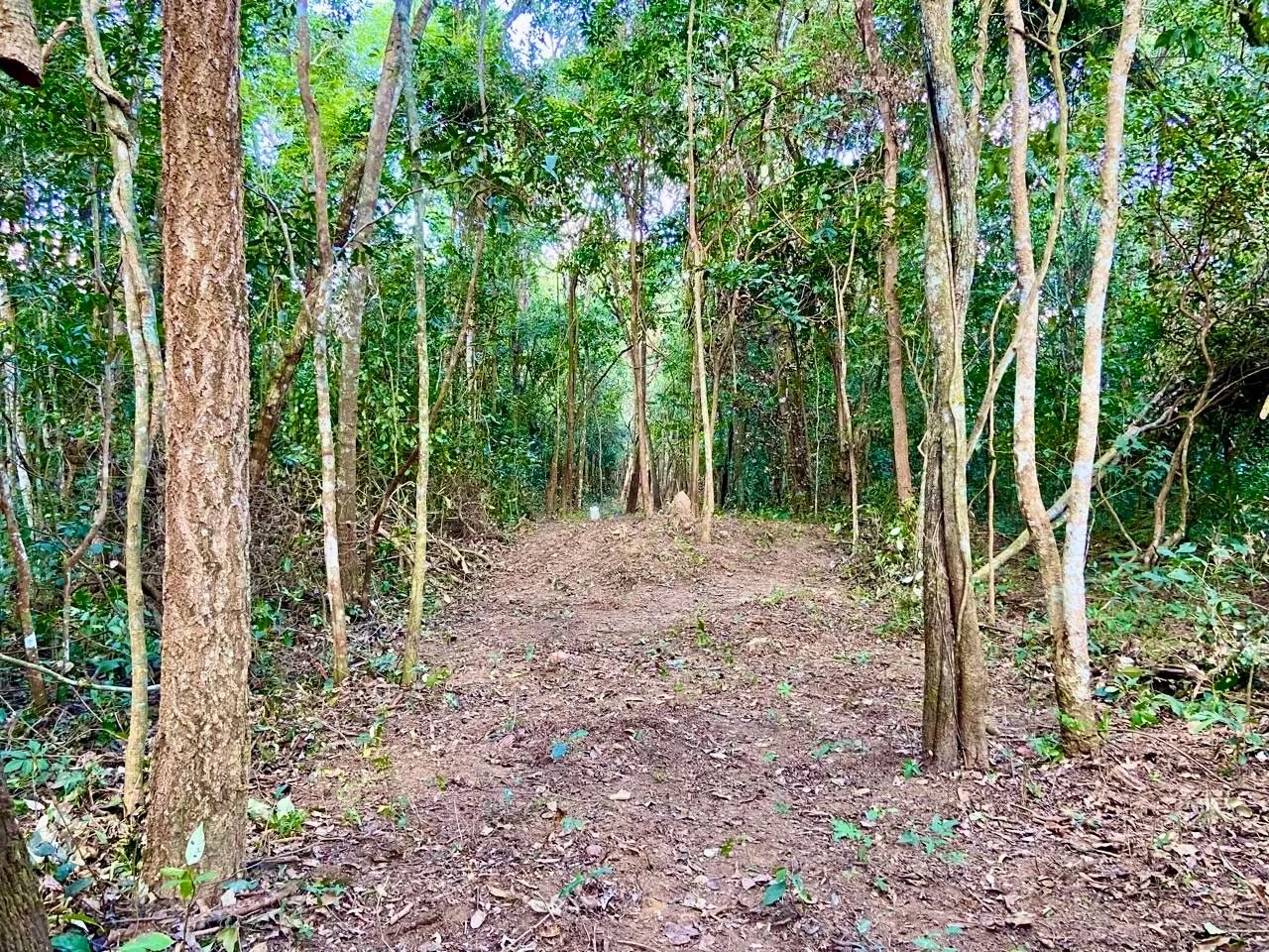 Chácara às margens do RIO URU - (a vista ou parcelada) - Foto 4