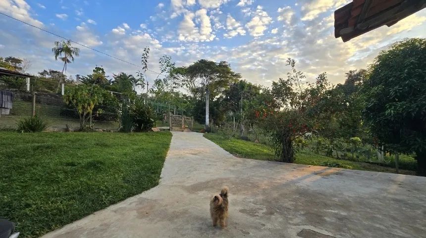 CASA INDIVIDUAL PARA ALUGUEL EM JUATUBA - DENTRO DE SÍTIO COM MUITA NATUREZA E PRIVACIDADE - Foto 2