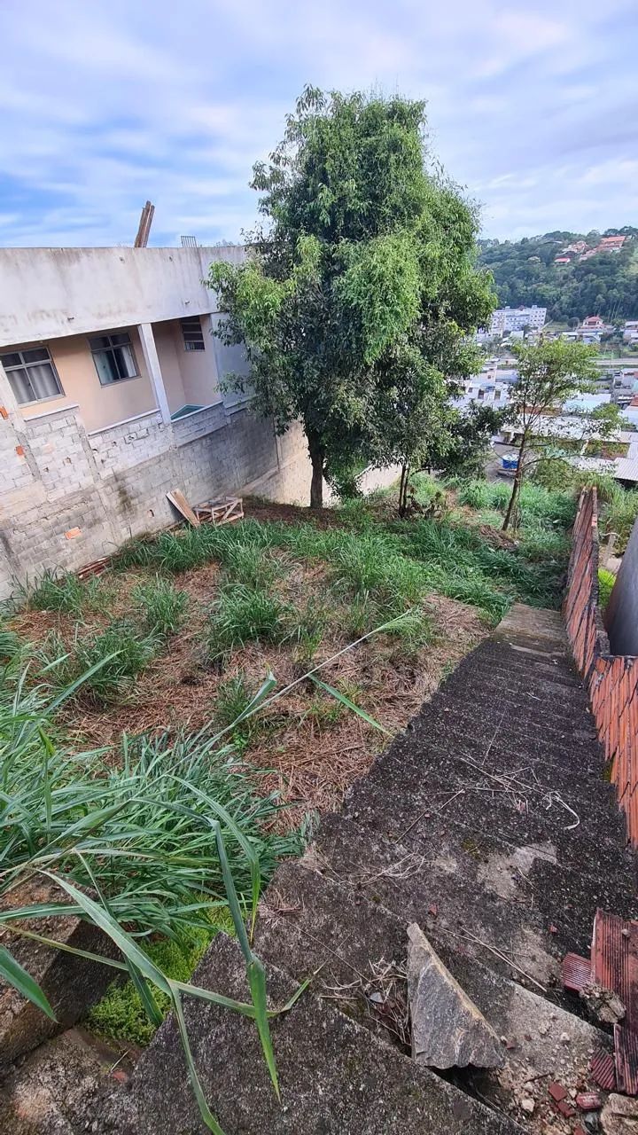 Lote / Terreno - Santos Dumont - Foto 2