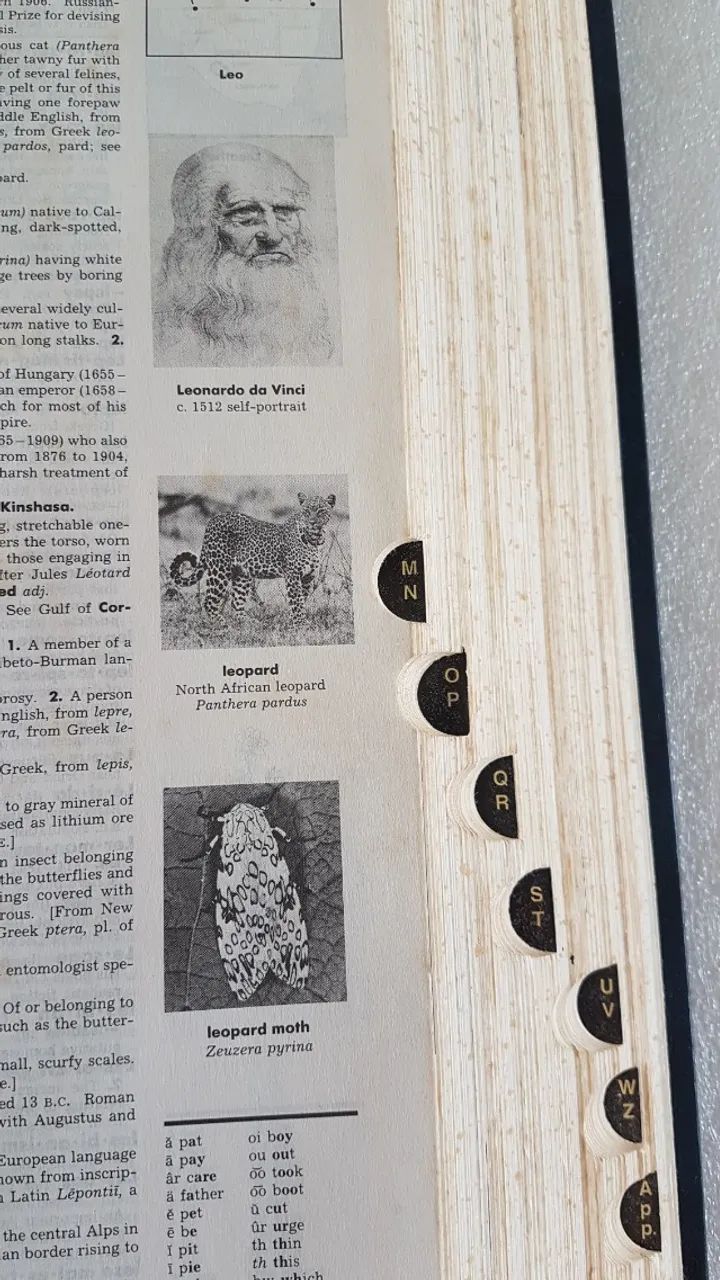 The American Heritage Dictionary of the English Language - Third Edition - Foto 5