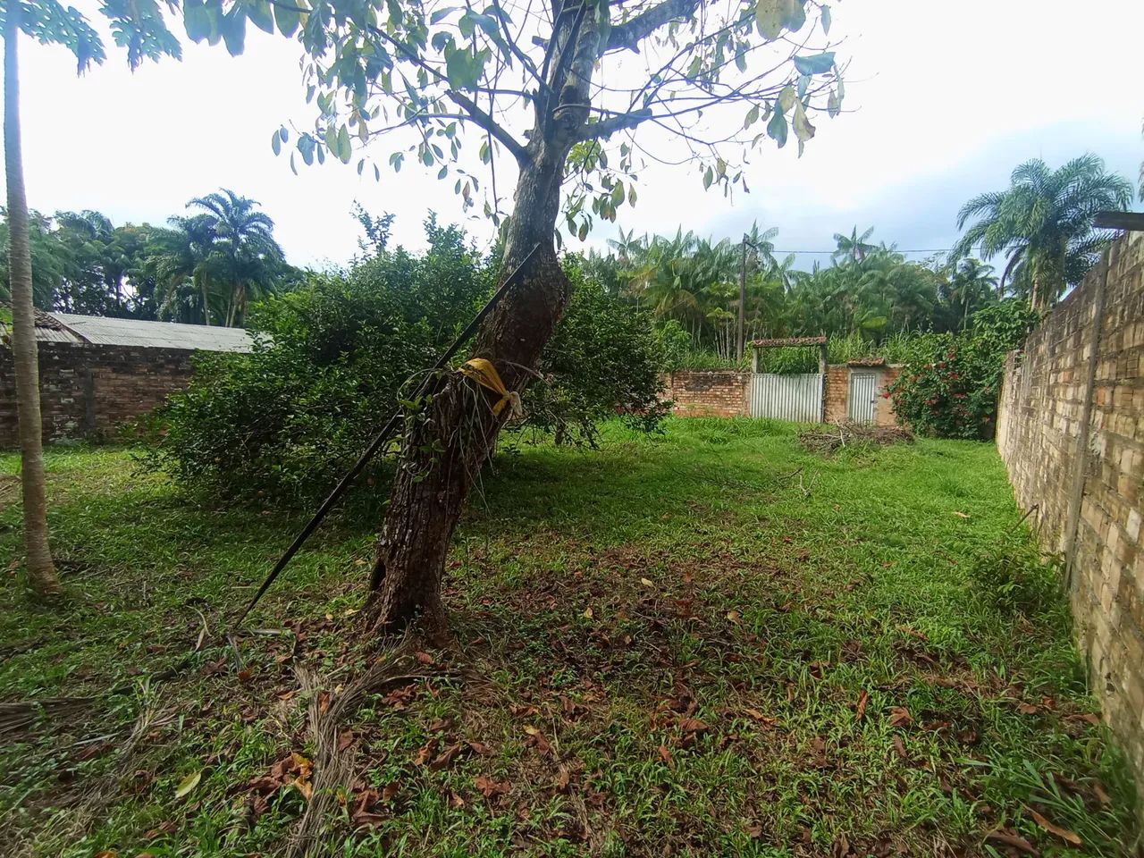 TERRENO GRANDE - Foto 4