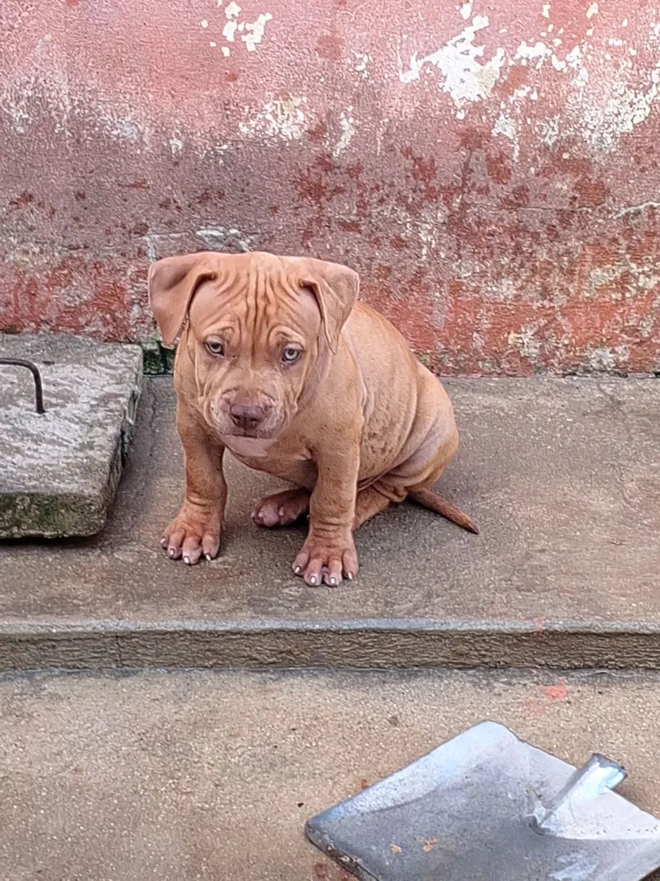 Machinho disponível  - Foto 3