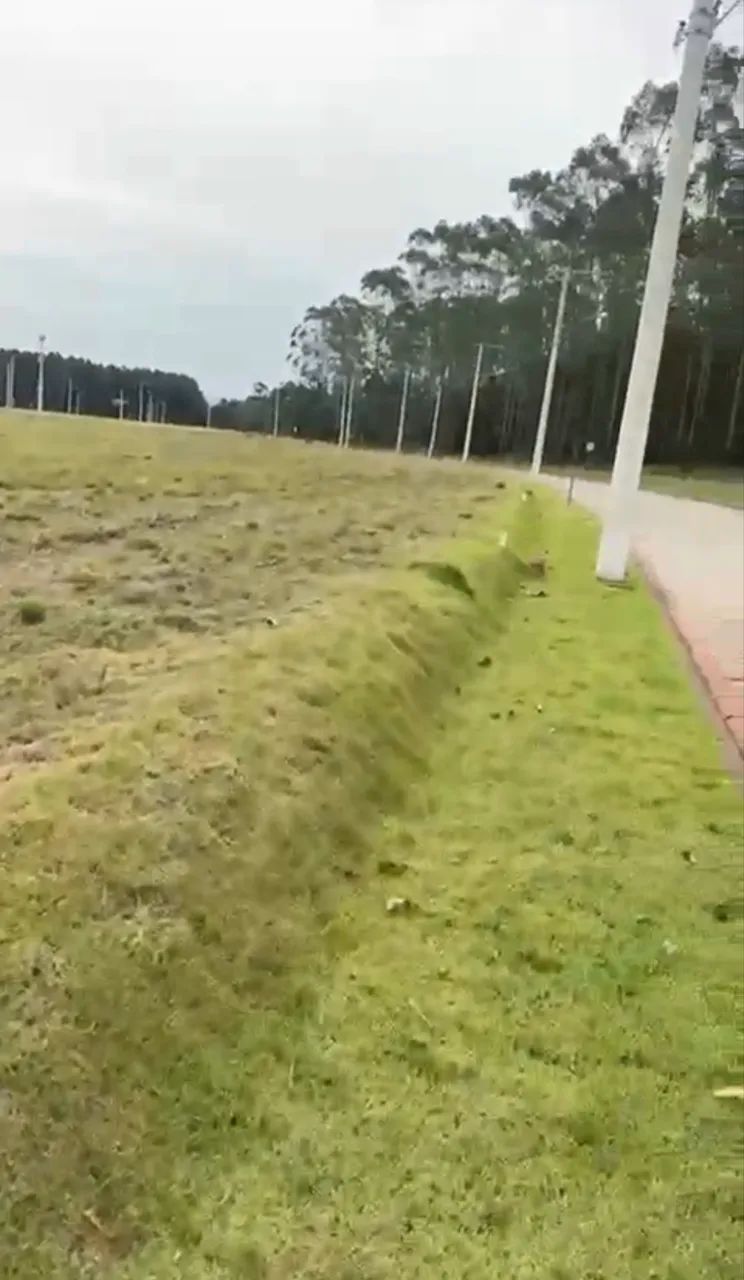 Foto - Passo de Torres - 