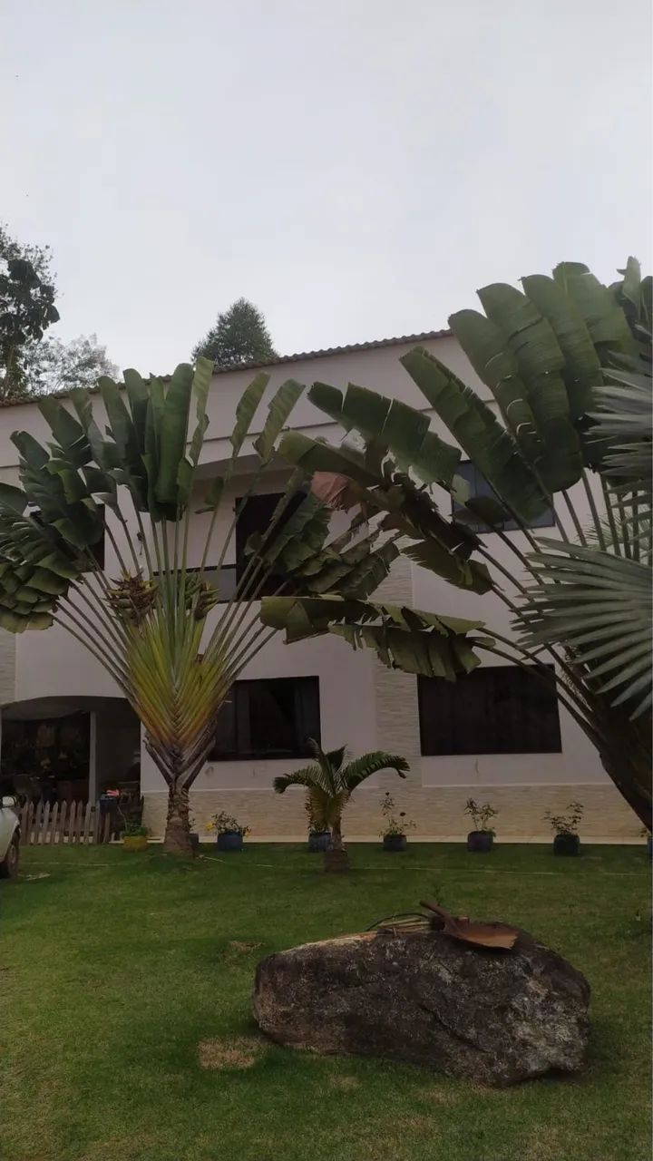 Sítio em Santa Maria de Jetibá  - Foto 2