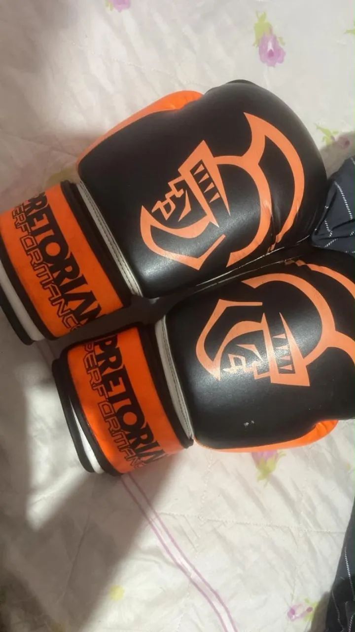 Luvas de box e caneleira 