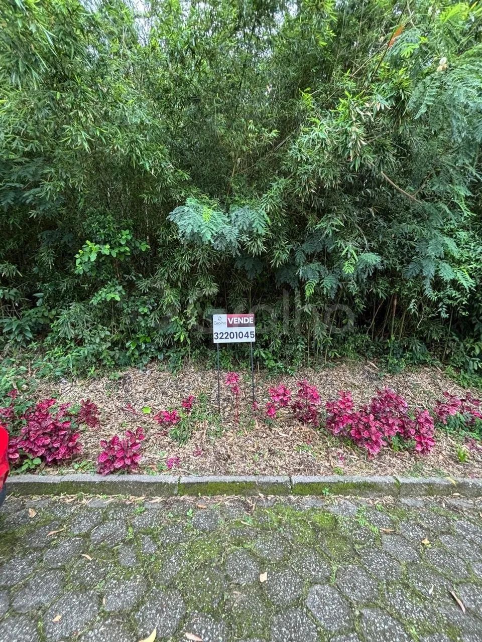 Terreno de 417m² na Trindade - Foto 5
