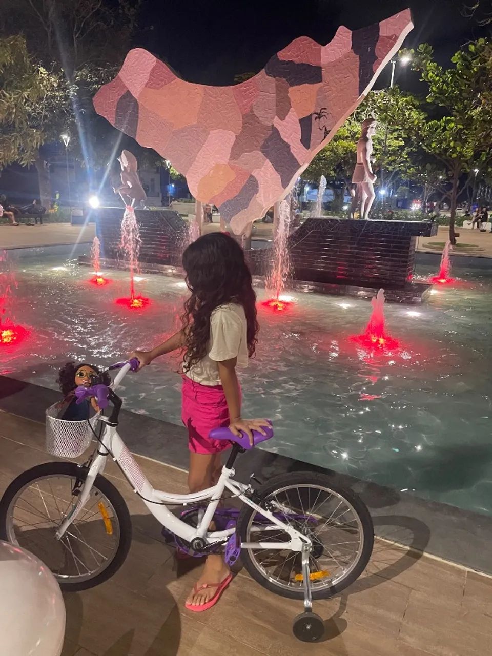 Bicicleta  - Foto 2