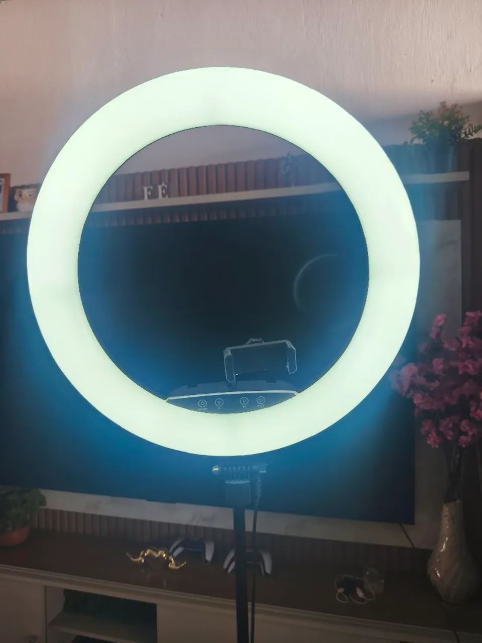 Ring light 