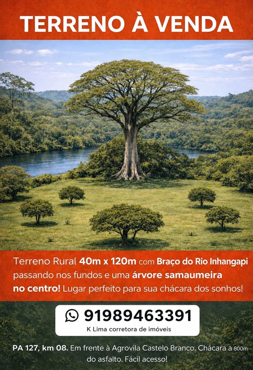 Terreno agrovila castelo branco castanhal 