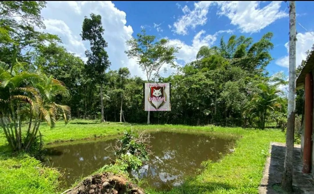 Chacara no gaivotas itanhaem - Foto 3