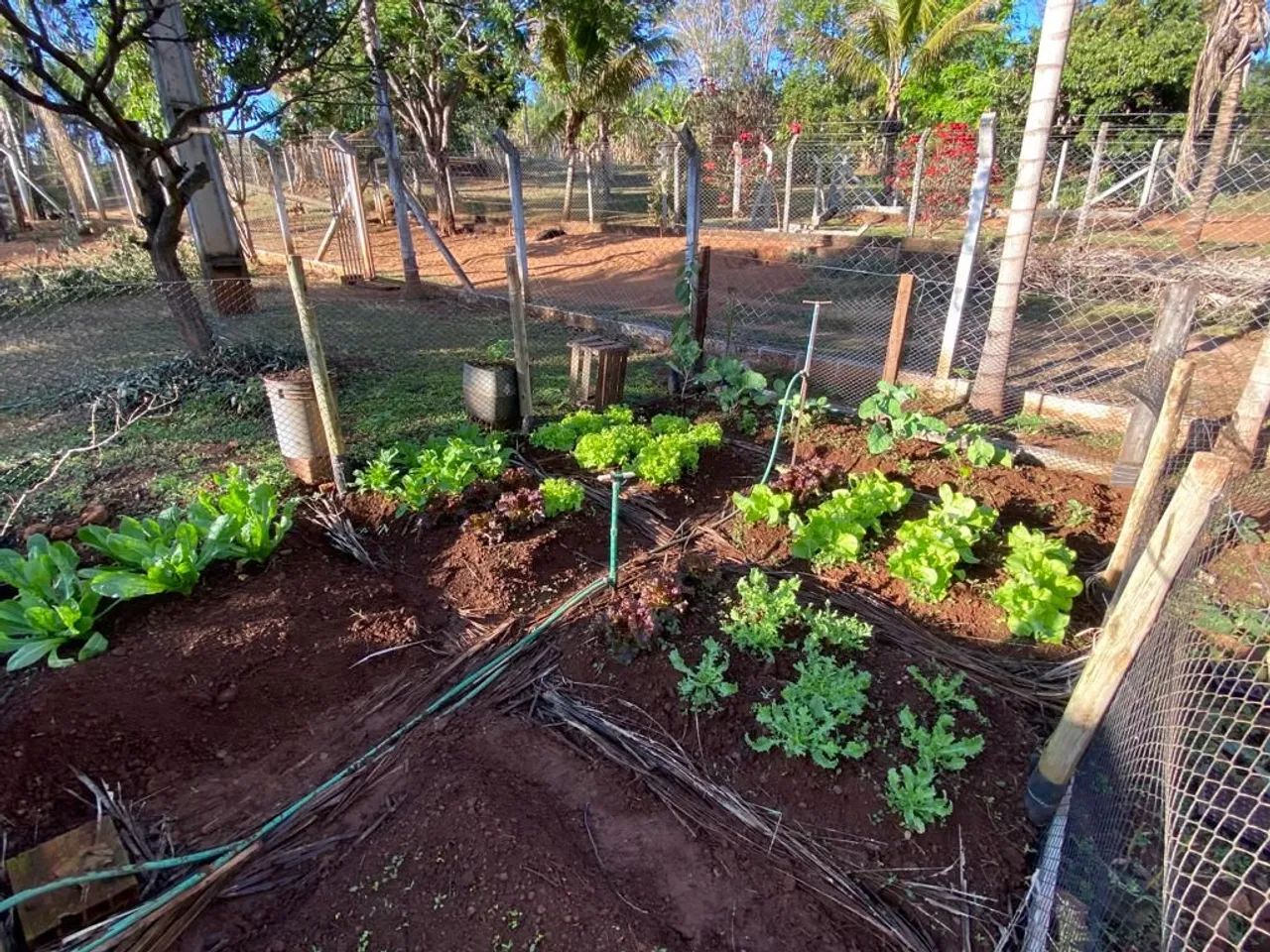 Chácara à venda no Capim Branco em Uberlândia - Foto 5