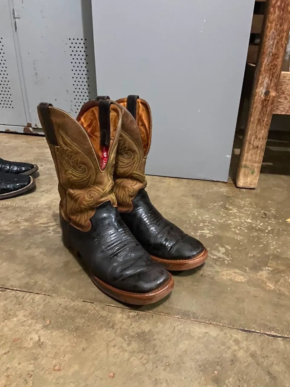 Bota texana Goyazes