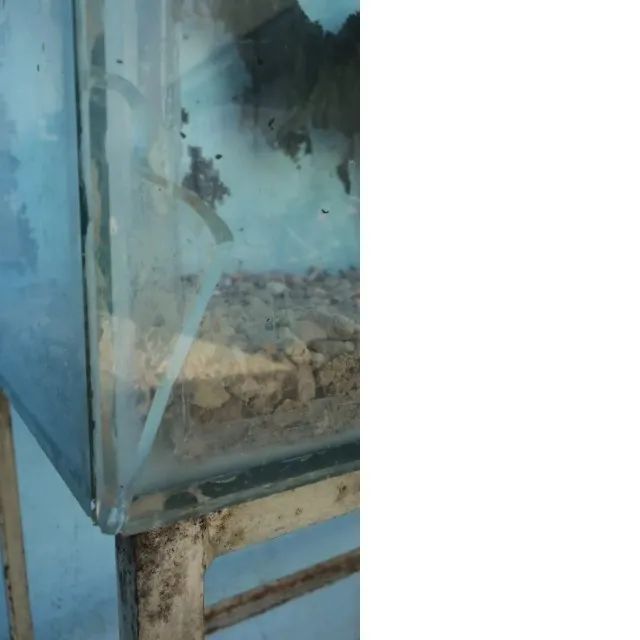 Aquário com Suporte, Tampa e Pedras - 72 Litros - Foto 6